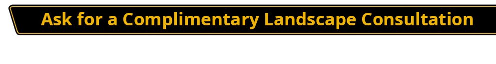 Landscape Consultation Webster